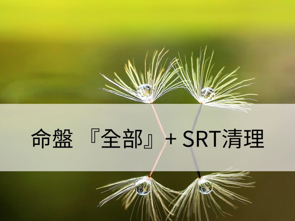 命盤 『全部』+ SRT清理：清理此生的靈魂藍圖，創造你的人生劇情