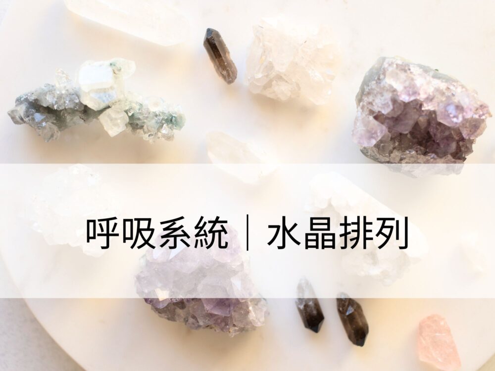 呼吸系統：穩定呼吸系統、強化能量運作