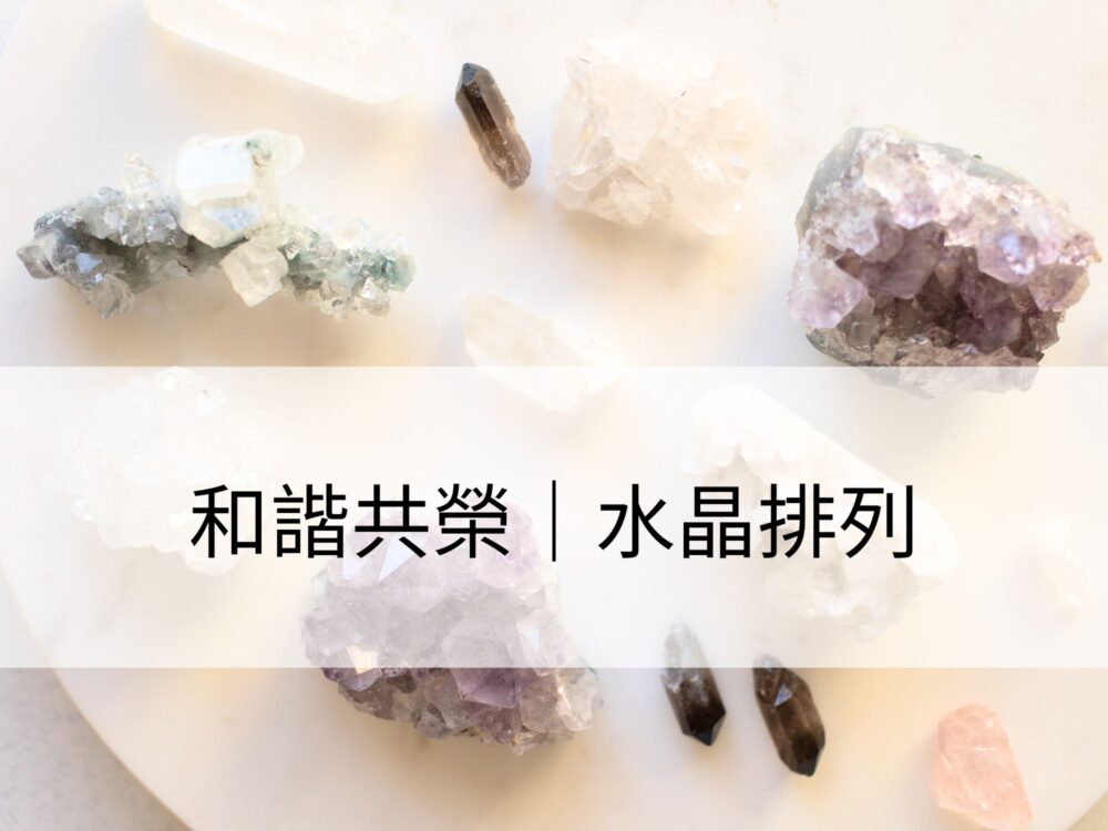 和諧共榮：適合伴侶議題、合夥關係