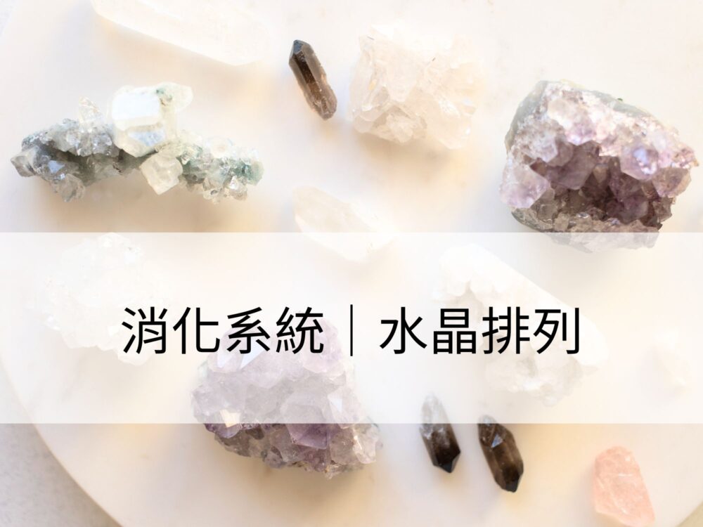 消化系統：修復消化系統、促進腸胃健康運作
