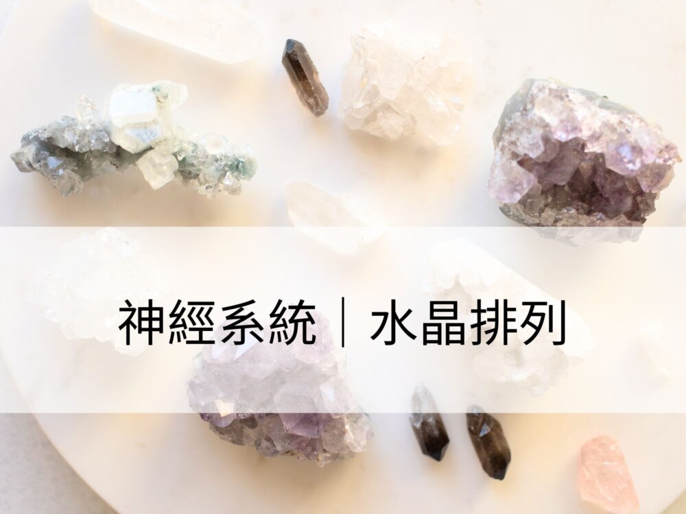 神經系統：提升放鬆效果，促進神經穩定狀態